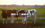 婚配十二属相表大全 最佳婚配十二生肖表大全