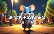 84鼠海中金咋是木鼠 84鼠海中金咋是木鼠适合