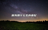 属狗跟什么生肖最配 和属猪婚姻非常甜蜜