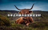 牛年正月哪天出生的宝宝好