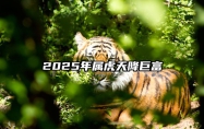 2025年属虎天降巨富 属虎人2025彻底大爆发