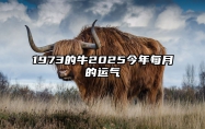 1973的牛2025今年每月的运气