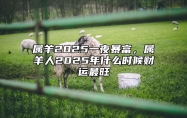 属羊2025一夜暴富，属羊人2025年什么时候财运最旺 属羊2025年运势及运程每月运程大家找算命网