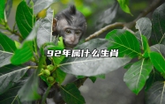 92年属什么生肖 92年属什么生肖猴配对