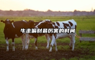 牛走偏财最厉害的时间 