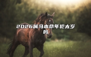 2026属马本命年犯太岁吗 2026年属马犯太岁其它生肖