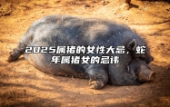 2025属猪的女性大忌，蛇年属猪女的忌讳 属猪人在蛇年会怎么样