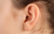 耳朵薄的人命运如何 耳朵薄的人面相好不好?