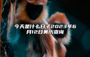 今天是什么日子2023年6月12日黄历查询,老黄历宜忌