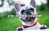 正缘一般都相差几岁属狗的 正缘年龄比自己大还是小怎么看
