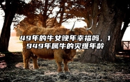 49年的牛女晚年幸福吗，1949年属牛的灾难年龄 49年属牛女2021年运势运程
