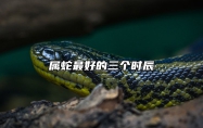 属蛇最好的三个时辰 属蛇人上等命的时辰