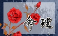 四两八钱男命详细解释一生 四两八钱男命婚姻详细解释