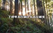丁卯年五行属什么五行相生 丁卯年属于五行属什么
