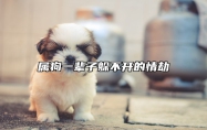 属狗一辈子躲不开的情劫 属狗一辈子躲不开的情劫有哪些