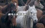 属马人最吃香的三个职业 属马人最吃香的三个职业男