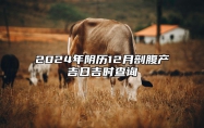 2024年阴历12月剖腹产吉日吉时查询 是剖腹产的吉日吗？