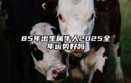 85年出生属牛人2025全年运势好吗