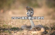 2025属蛇要穿红色吗 2025属蛇要穿红色吗77的蛇能穿红色吗