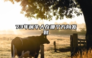 73年属牛人在哪个方向发财 73年属牛的去哪个方向发展好
