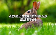 太岁是土里的什么东西？太岁是活着的吗