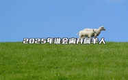 2025年谁会离开属羊人 2025年属羊人的命运