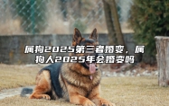 属狗2025第三者婚变，属狗人2025年会婚变吗 属狗的2025年