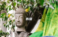 成为真正的伤官配印的条件是那些？
