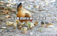 93年鸡财运最旺的几年 93年鸡命里有几个儿子