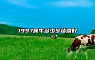 1997属牛多少岁结婚好 1997属牛多少岁结婚好一点