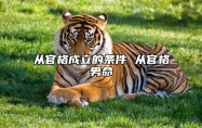 从官格成立的条件 从官格男命