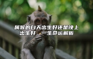 属猴的白天出生好还是晚上出生好，一生命运解析 属猴子晚上生还是白天生的比较好