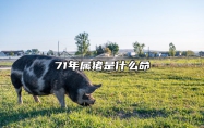 71年属猪是什么命 71年属猪是什么命?