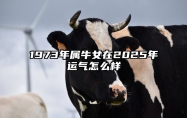 1973年属牛女在2025年运气怎么样