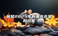 属鼠2025年有哪些吉星和凶星 属鼠人2025年的命运