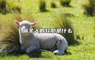 属羊人的软肋是什么 属羊的心软善良