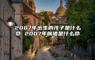 2007年出生的孩子是什么命 2007年属猪是什么命