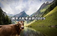 属牛人蛇年运势2025 属牛人蛇年运势2025年运程