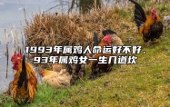 1993年属鸡人命运好不好，93年属鸡女一生几道坎 1993年属鸡女命运如何