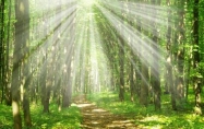 天星择日在线排盘，七政四馀天星择日法和乌兔太阳择日法有什么区别？