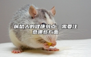 属鼠人的健康弱点：需要注意哪些方面 属鼠人的致命缺点