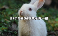 51年兔2025年必有一难 属兔人一生最克3个人