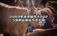 2009年出生属牛人2025年财运和运气怎么样