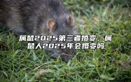 属鼠2025第三者婚变，属鼠人2025年会婚变吗 属鼠的2025年财运各方面怎么样?