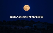属羊人2025年9月运势 属羊人2025年运势运程