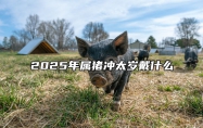 2025年属猪冲太岁戴什么 2025年属猪冲太岁戴什么红绳有用
