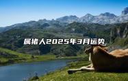 属猪人2025年3月运势 属猪人2025年运程