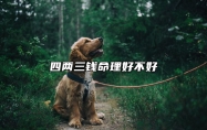 四两三钱命理好不好 四两三钱女命详解