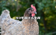 93年属什么生肖 93年属什么生肖配对最合适