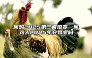 属鸡2025第三者婚变，属鸡人2025年会婚变吗 属鸡的2025年多大